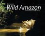 Wild Amazon A Photographer's View of Amazonia