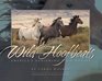 Wild Hoofbeats America's Vanishing Wild Horses