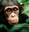 Chimpanzee The Making of the Film