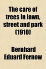 The care of trees in lawn street and park