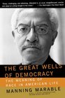 The Great Wells of Democracy The Meaning of Race in American Life