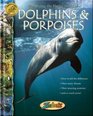 Dolphins  Porpoises