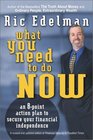 What You Need to Do Now  An 8Point Action Plan to Secure Your Financial Independence