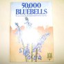50000 Bluebells
