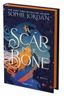 A Scar in the Bone  A Novel
