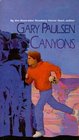 Canyons