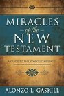 Miracles of the New Testament A Guide to the Symbolic Messages