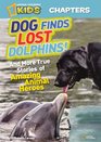 Dog Finds Lost Dolphins And More True Stories of Amazing Animal Heroes