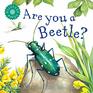 Are You a Beetle