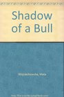 Shadow of a Bull