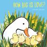 How Big Is Love