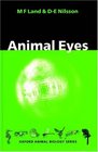 Animal Eyes