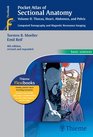 Pocket Atlas of Sectional Anatomy Volume II Thorax Heart Abdomen and Pelvis Computed Tomography and Magnetic Resonance Imaging