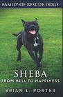 Sheba From Hell to Happiness