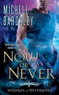 Now or Never (Wizards of Nevermore, Bk 2)