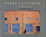 Harry Callahan New Color  Photographs 19781987