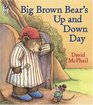 Big Brown Bear's Up and Down Day