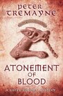 Atonement of Blood (Sister Fidelma, Bk 24)