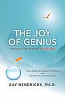 The Joy of Genius The Next Step Beyond The Big Leap