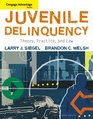 Advantage Books Juvenile Delinquency Theory Practice and Law