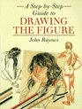 A StepByStep Guide to Drawing the Figure