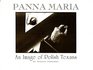 Panna Maria An Image of Polish Texans