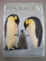 Penguino / Penguin