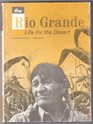 The Rio Grande  Life for the Desert