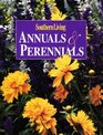 Annuals  Perennials