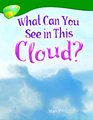 Oxford Reading Tree Stage 12 TreeTops NonFiction What Can You See in This Cloud