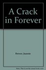A CRACK IN FOREVER
