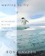 Waiting to Fly: My Escapades With the Penguins of Antarctica