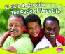 ciclo de tu vida/The Cycle of Your Life