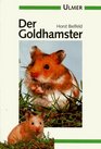 Der Goldhamster