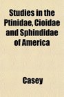 Studies in the Ptinidae Cioidae and Sphindidae of America