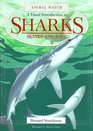 A Visual Introduction to Sharks Skates and Rays