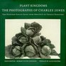 Plant Kingdoms The Photographs of Charles Jones