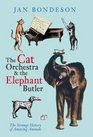 The Cat Orchestra  the Elephant Butler The Strange History of Amazing Animals