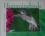 Hummingbirds Perpetual Calendar (Hummingbirds)