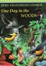 One Day in the Woods