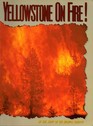 Yellowstone on Fire!