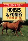 Horses  Ponies Photo Guide