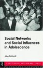 Social Networks and Social Influences in Adolescence