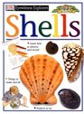 Shells (Eyewitness Explorers)