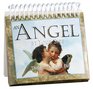 An Angel by Your Side Thoughts for Each Day