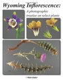 Wyoming Inflorescence A photographic treatise on select plants
