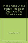 In The Wake Of The Plague: The Black Death And The World It Made