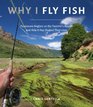Why I Fly Fish Passionate Anglers on the Pastime's Appeal and How It Has Shaped Their Lives