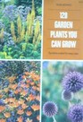 128 Houseplants You Can Grow