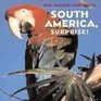 South America Surprise